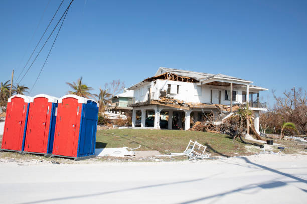 Blue Ridge, GA Tree Removal Company